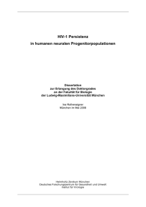 HIV-1 Persistenz in humanen neuralen Progenitorpopulationen