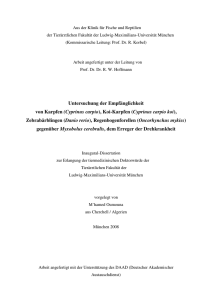 (Cyprinus carpio), Koi-Karpfen - Elektronische Dissertationen der