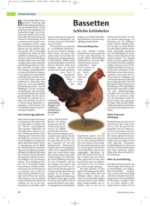 Bericht von Holger Schellschmidt PDF