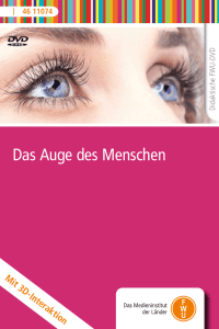 Das Auge des Menschen