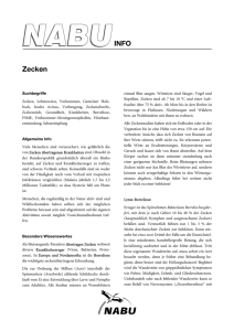 INFO Zecken