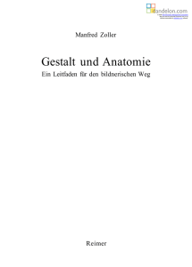 Gestalt und Anatomie