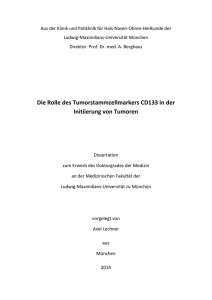 Die Rolle des Tumorstammzellmarkers CD133 in der Initiierung von