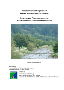 Gewässerentwicklung Dreisam Bereich Kartauswiesen in Freiburg