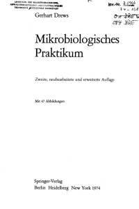 Mikrobiologisches Praktikum