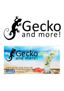 Gecko Cocktails alkoholfrei