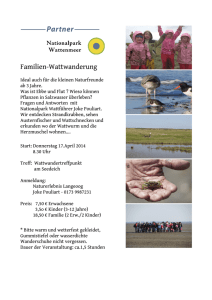 Familien-Wattwanderung - Nationalpark Partner Wattenmeer