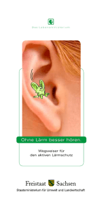 Ohne Lärm besser hören - Wegweiser für den aktiven Lärmschutz