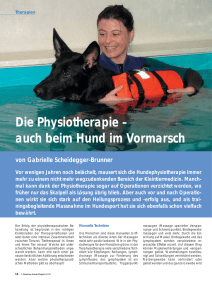 Die Physiotherapie – auch beim Hund im Vormarsch