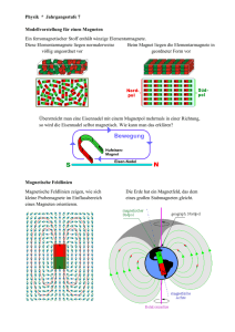 Magnete - Modell und Feldlinien - Rasch-Web