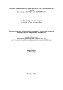 B - Elektronische Dissertationen der LMU München