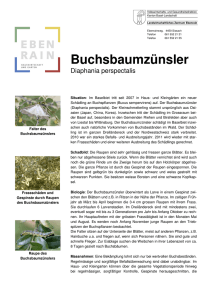 LZ Ebenrain - Merkblatt Buchbaumzünsler
