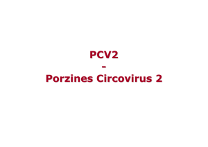 PCV2 und Circovac