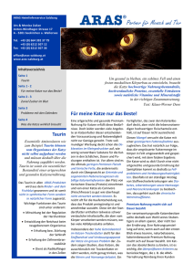 Infofolder Katze  - Hundefutter/Katzenfutter Salzburg u