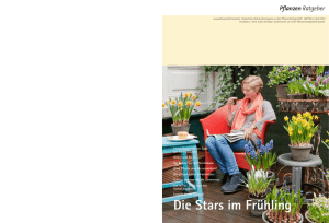 Die Stars im Frühling