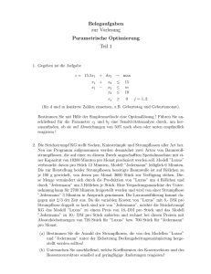 Belegaufgaben zur Vorlesung Parametrische Optimierung Teil 1