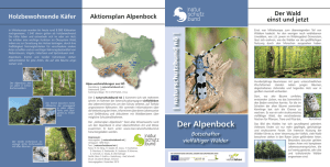 Alpenbock end Homepage.indd