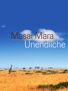 Masai Mara - Jumbo Touristik