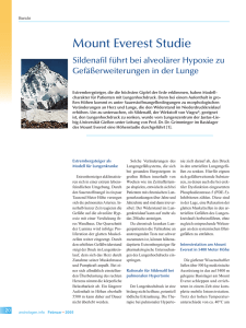 Mount Everest Studie