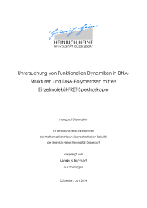 Untersuchung von Funktionellen Dynamiken in DNA