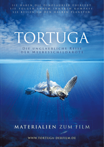 Filmheft Tortuga - Die unglaubliche Reise der Meeresschildkröte