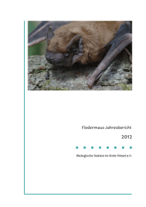 Fledermaus-Jahresbericht - Naturschutzstiftung Niederrhein