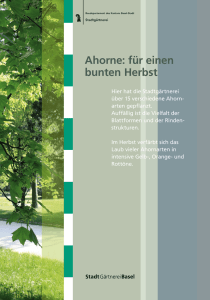 Kannenfeldpark (PDF, 2.9 MB, nicht barrierefrei)