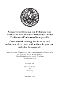 Richter_Dominik_Dissertation