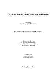 Der Einfluss von CD4+ T Zellen auf die akute Virushepatitis