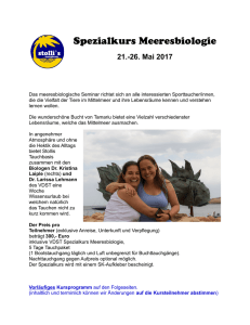 Meeresbio-Seminar - Stollis Tauchbasis