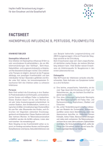 Factsheet als PDF downloaden