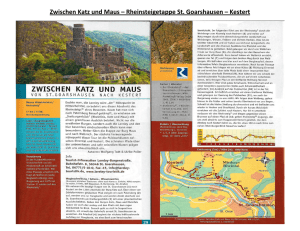 Zwischen Katz und Maus – Rheinsteigetappe St. Goarshausen