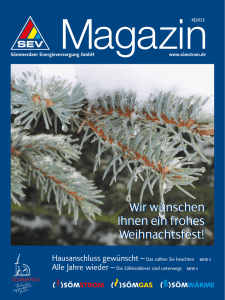 Kundenmagazin 4. Quartal 2013 - Sömmerdaer Energieversorgung