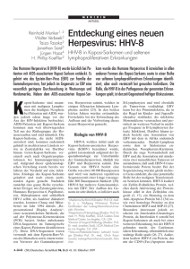 Entdeckung eines neuen Herpesvirus: HHV-8