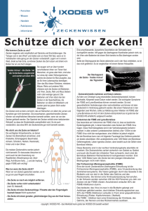 Zeckenschutz-Merkblatt (Quelle Internet)