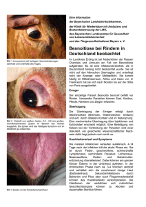 Besnoitiose bei Rindern in Deutschland beobachtet