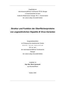 Struktur und Funktion der Oberflächenproteine von ungewöhnlichen