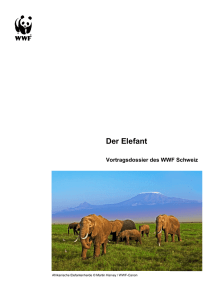 Neues Vortragsdossier: Der WWF