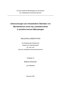 Untersuchungen zum intrazellulären Überleben von Mycobacterium