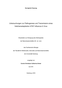 Dokument 1 - E-Dissertationen der Universität Hamburg