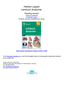 Herbert Lippert Lehrbuch Anatomie