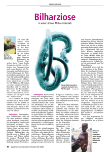 Bilharziose - Deutsches Ärzteblatt