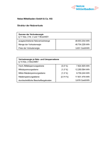 Netztopologie und Netzverluste_für Internetauftritt