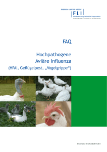 FAQ zur hochpathogenen Aviären Influenza