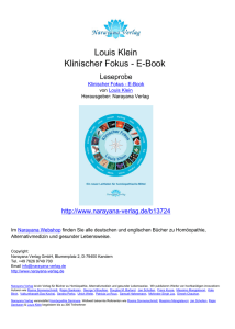 Louis Klein Klinischer Fokus - E-Book