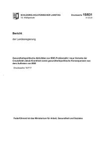 Bericht - Landtag SH