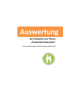 der Evaluation zum Thema &bdquo;Postpartale
