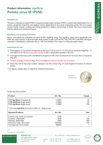 Potato virus M (PVM)