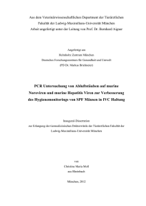 PCR Untersuchung von Abluftstäuben auf murine Noroviren und