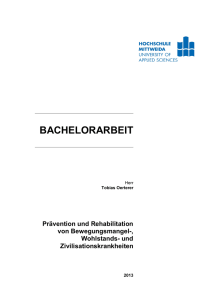 bachelorarbeit - MOnAMi